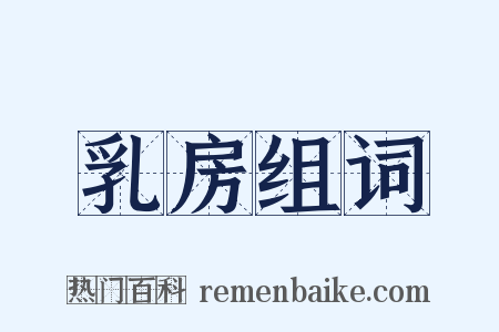 乳房组词是什么意思的图片